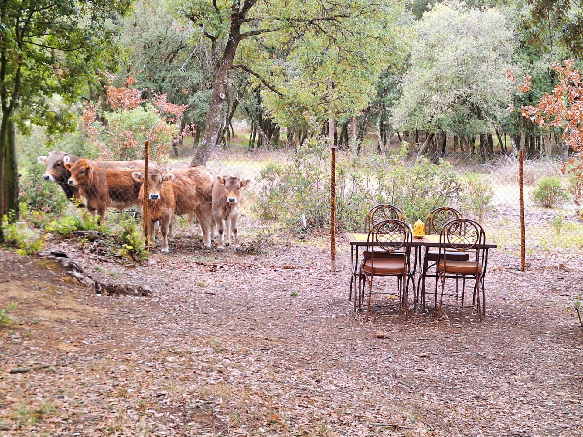 Casa Natura Montseny Chalet Barcellona